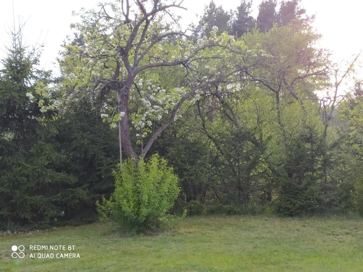 Dolistowka Apartamenty, Pole Namiotowe, Balia Z Jacuzzi, Ogrod Warzywny Dla Gosci, Plac Zabaw Dla Dzieci Goniadz Esterno foto