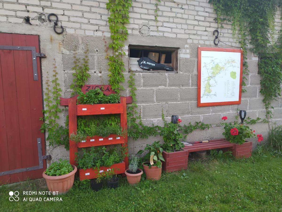Dolistowka Apartamenty, Pole Namiotowe, Balia Z Jacuzzi, Ogrod Warzywny Dla Gosci, Plac Zabaw Dla Dzieci Goniadz Esterno foto