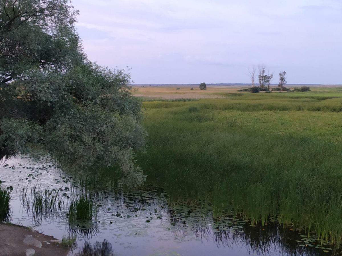 Dolistowka Apartamenty, Pole Namiotowe, Balia Z Jacuzzi, Ogrod Warzywny Dla Gosci, Plac Zabaw Dla Dzieci Goniadz Esterno foto